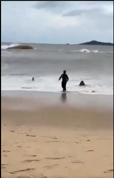 Detik-Detik Warga Berusaha Menyelamatkan Seorang Anak yang Nyaris Hanyut Terbawa Ombak Pantai Pantai Selatan – Suasana liburan keluarga di Pantai Selatan mendadak mencekam ketika seorang anak berusia sekitar 7 tahun nyaris terseret ombak besar pada Minggu (6/10/2024)