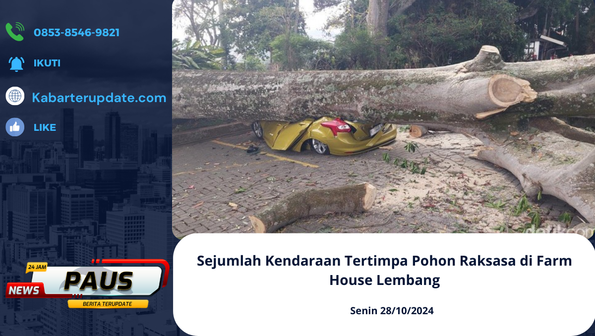 Sejumlah Kendaraan Tertimpa Pohon Raksasa di Farm House Lembang