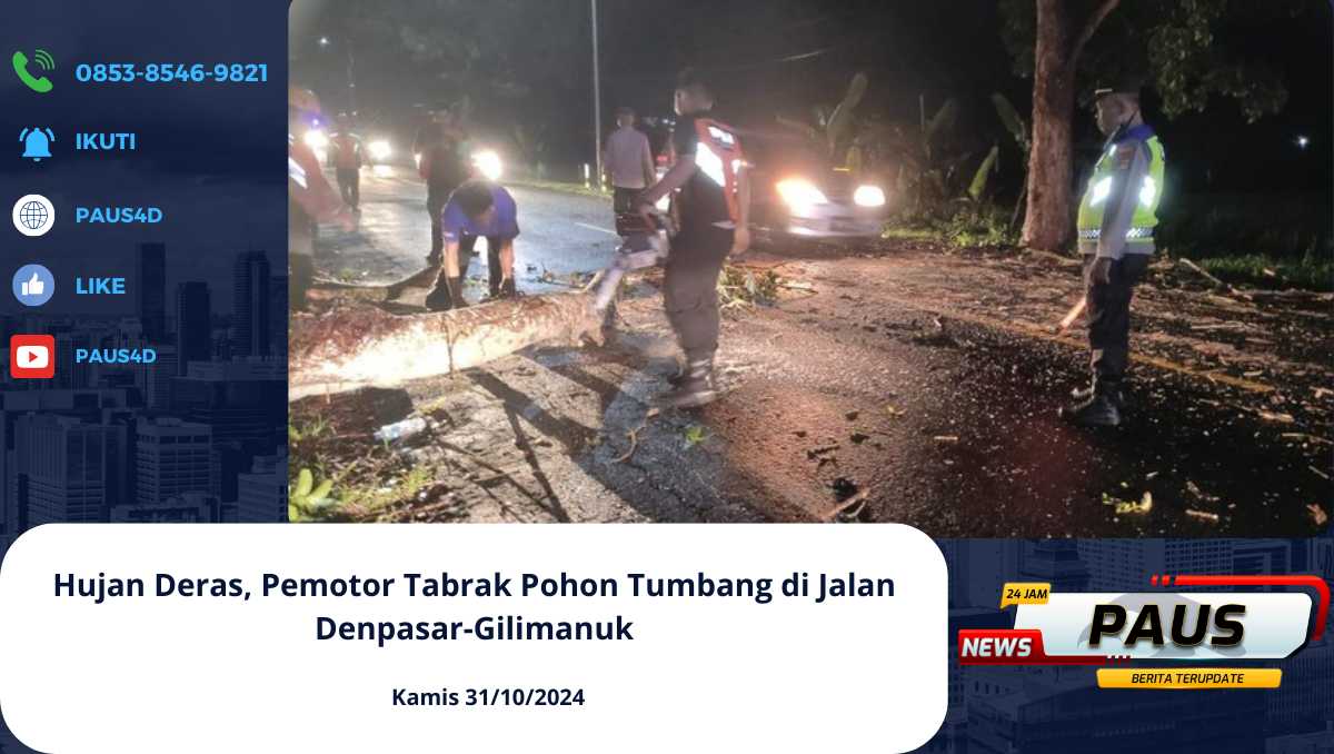 Hujan Deras, Pemotor Tabrak Pohon Tumbang di Jalan Denpasar-Gilimanuk