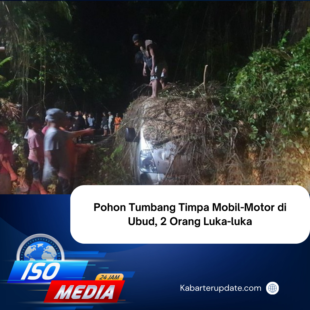 Pohon Tumbang Timpa Mobil-Motor di Ubud, 2 Orang Luka-luka