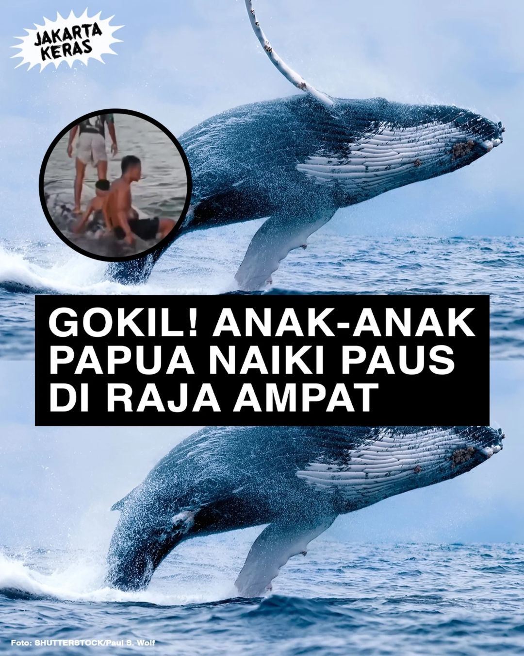 Gokil! Anak-anak di Papua Naiki Ikan Paus di Raja Ampat